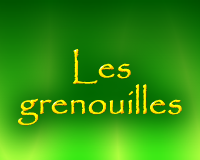 2004 Les grenouilles